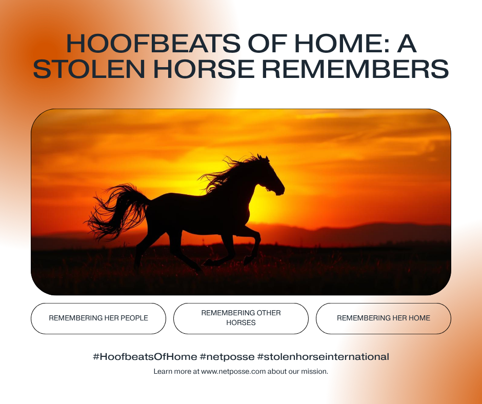 store/pages/2381/Hoofbeats of Home A Stolen Horse Remembers.png